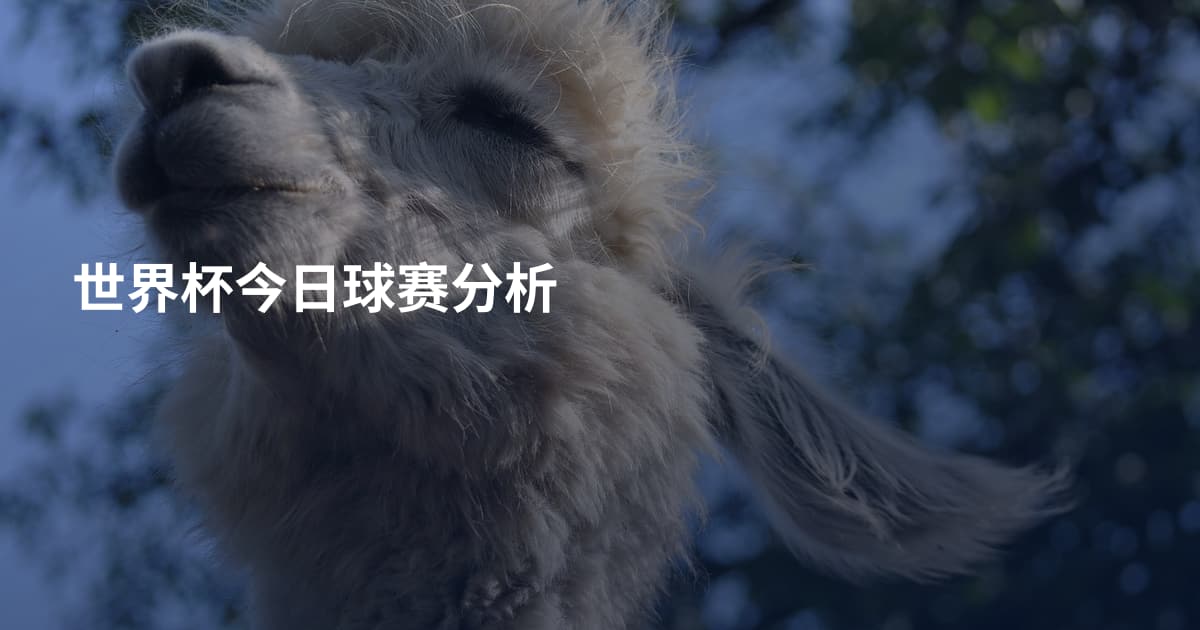 世界杯今日球赛分析