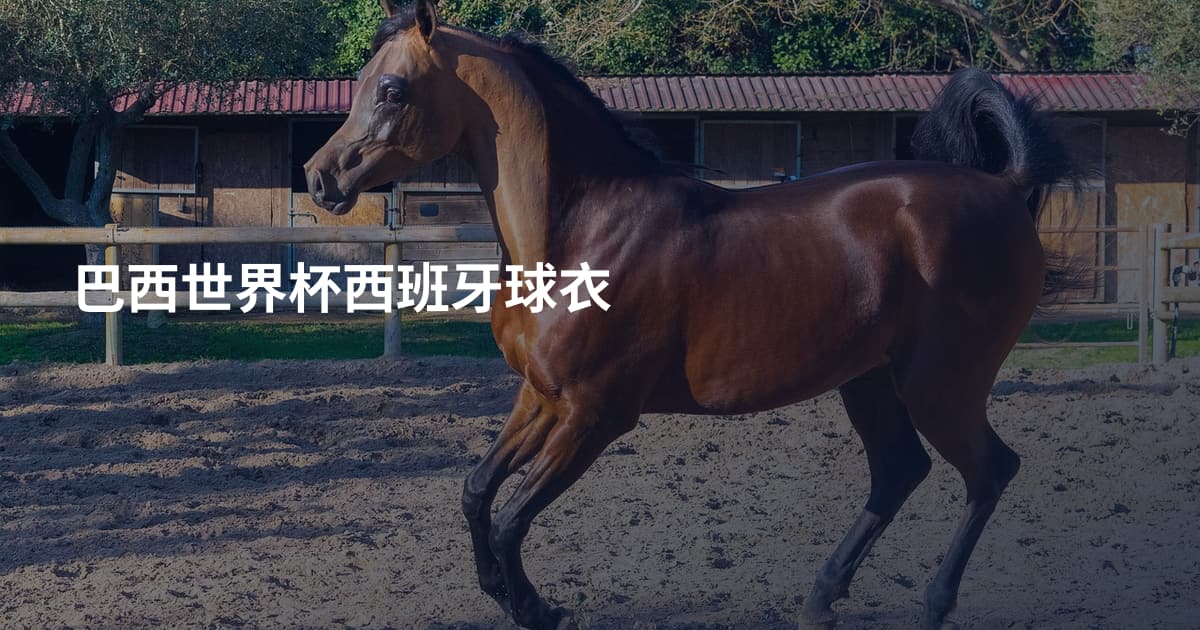 巴西世界杯西班牙球衣