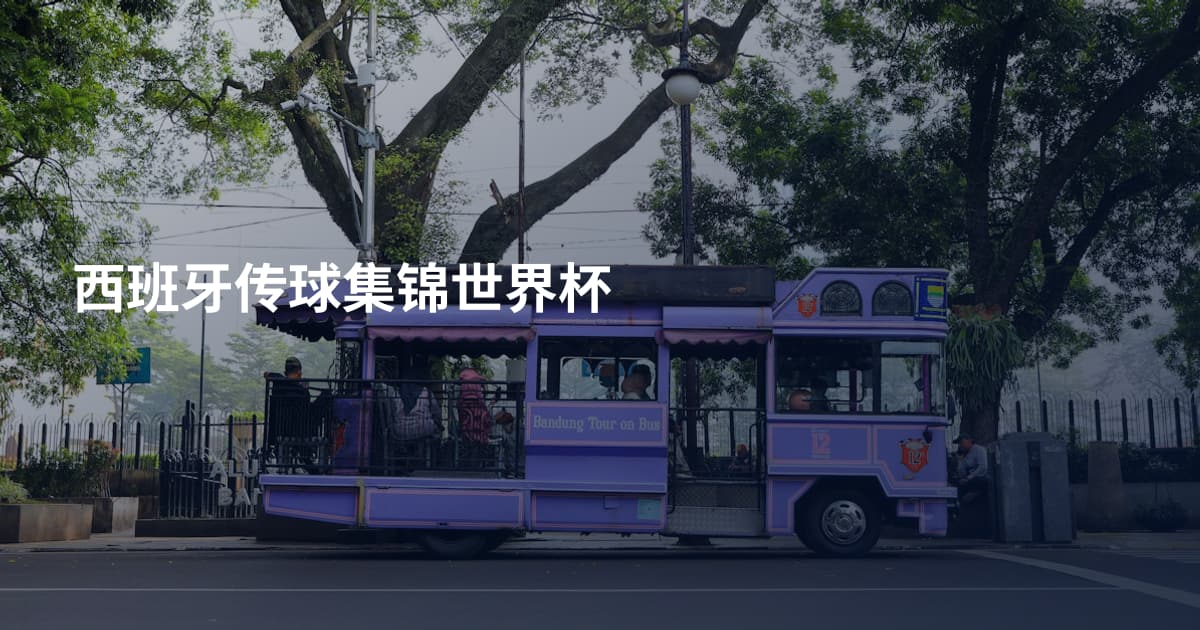 西班牙传球集锦世界杯