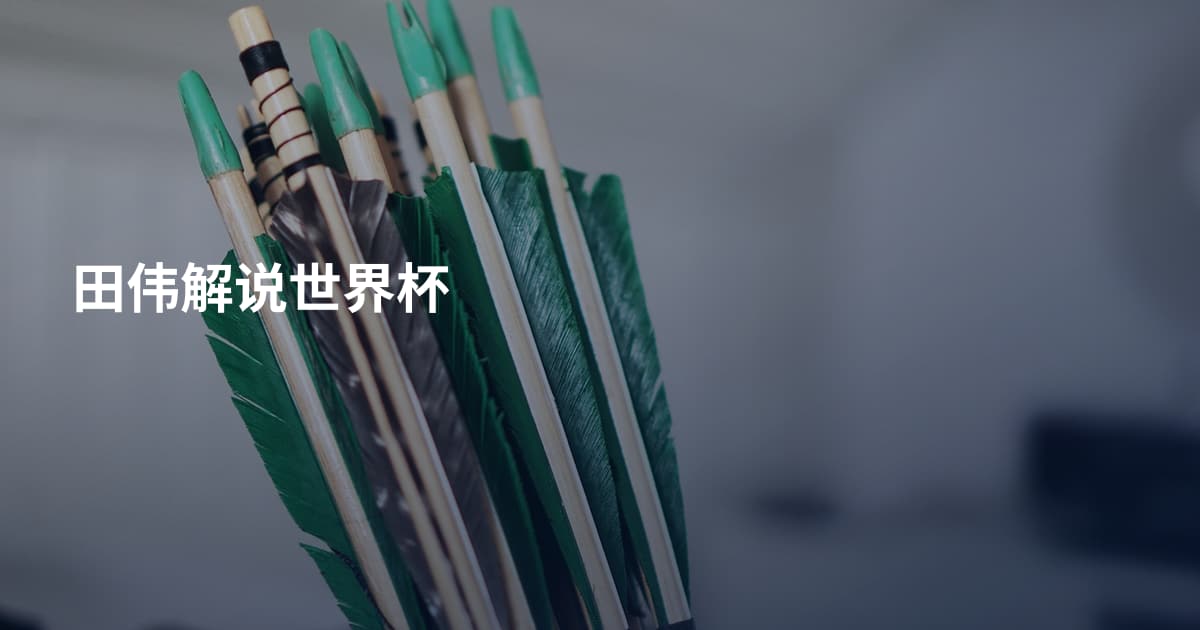 田伟解说世界杯