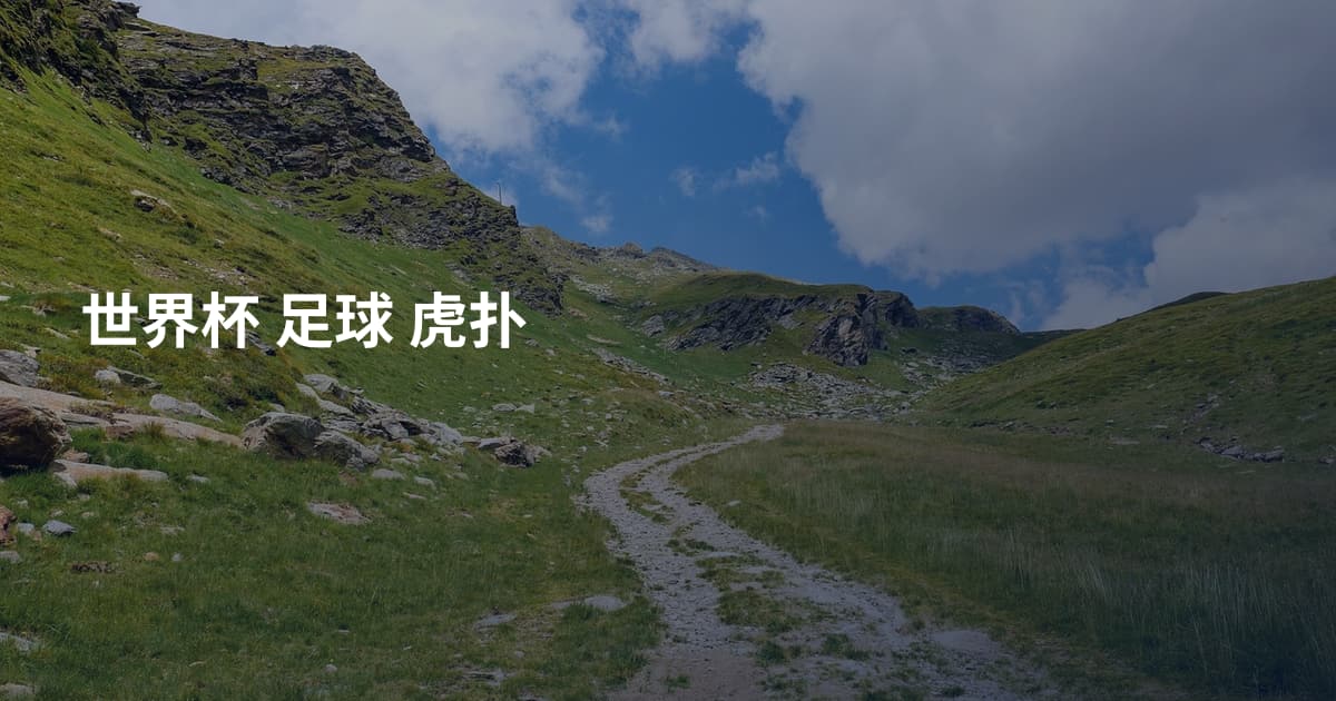 世界杯 足球 虎扑