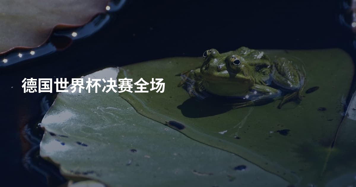 德国世界杯决赛全场