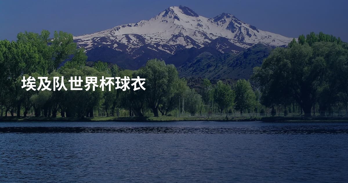 埃及队世界杯球衣