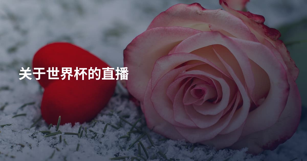 关于世界杯的直播