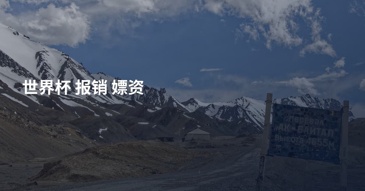 世界杯 报销 嫖资