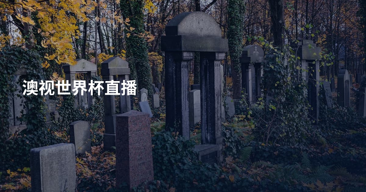 澳视世界杯直播