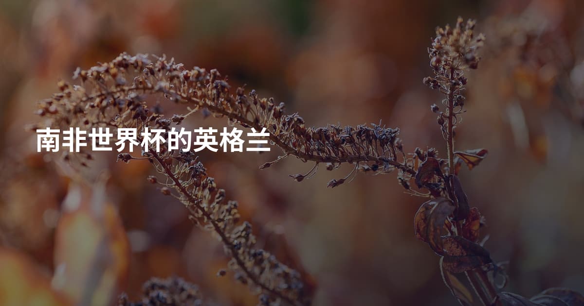 南非世界杯的英格兰