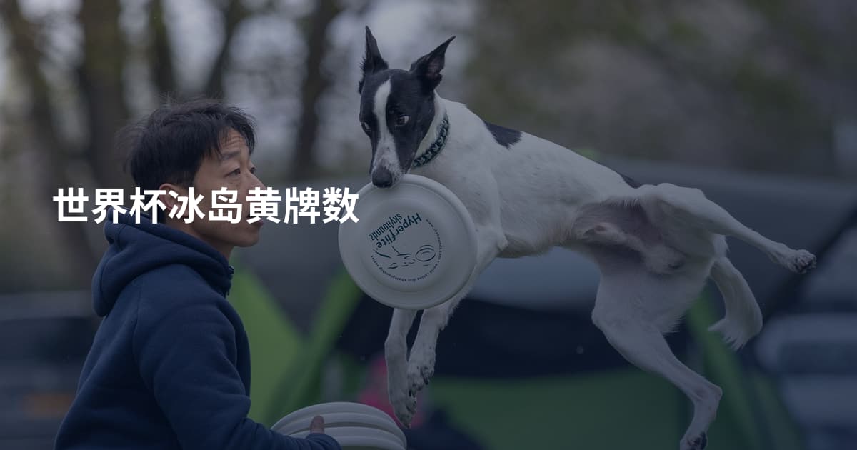 世界杯冰岛黄牌数