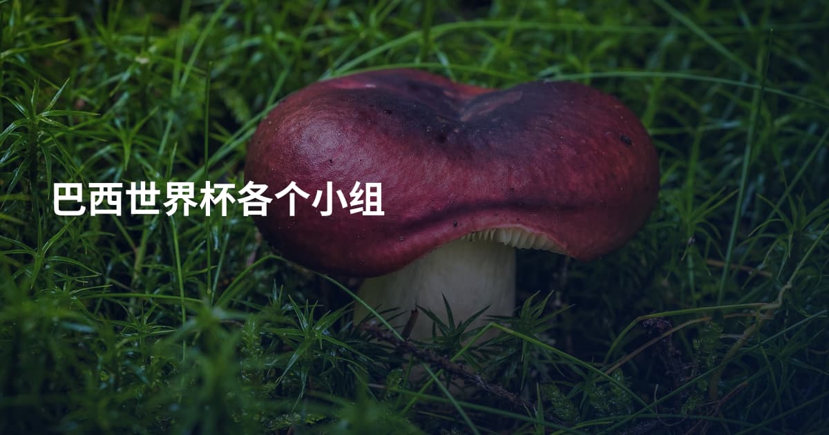 巴西世界杯各个小组