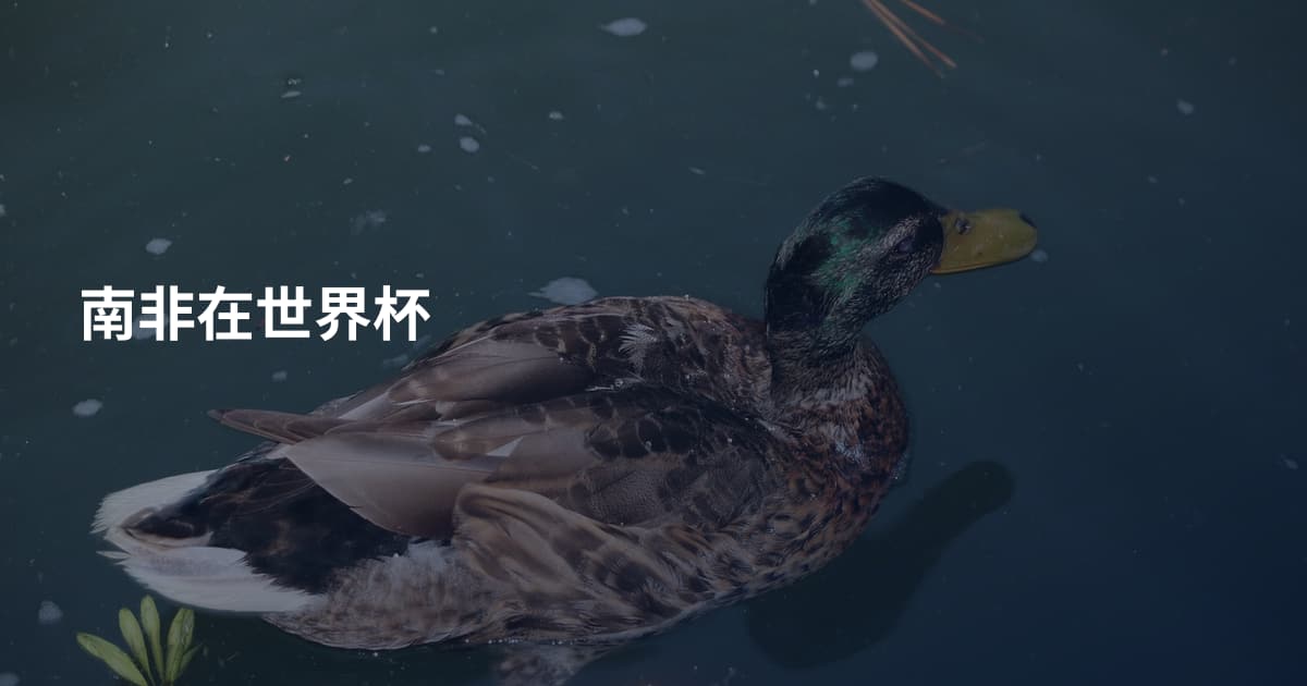 南非在世界杯