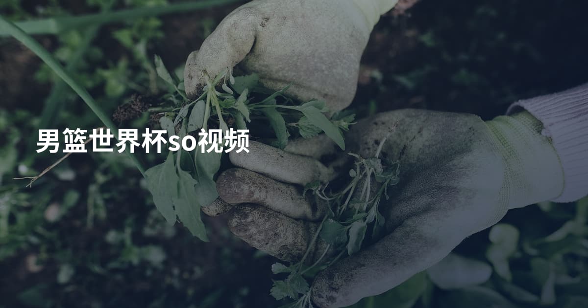 男篮世界杯so视频