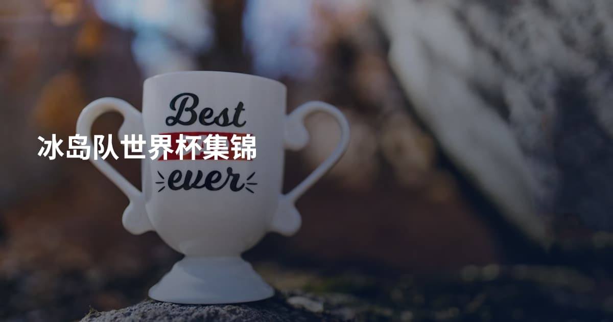 冰岛队世界杯集锦