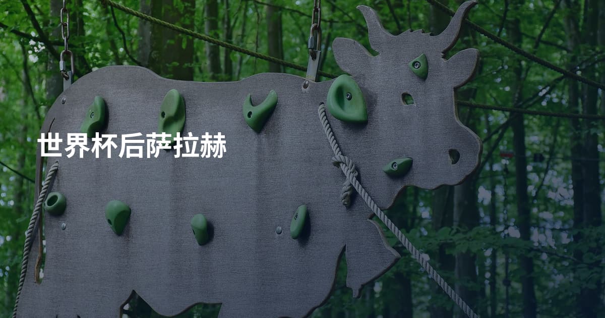 世界杯后萨拉赫