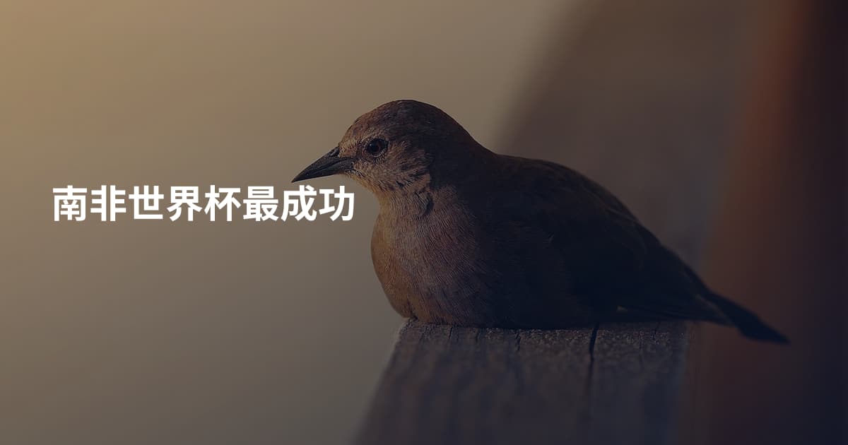 南非世界杯最成功