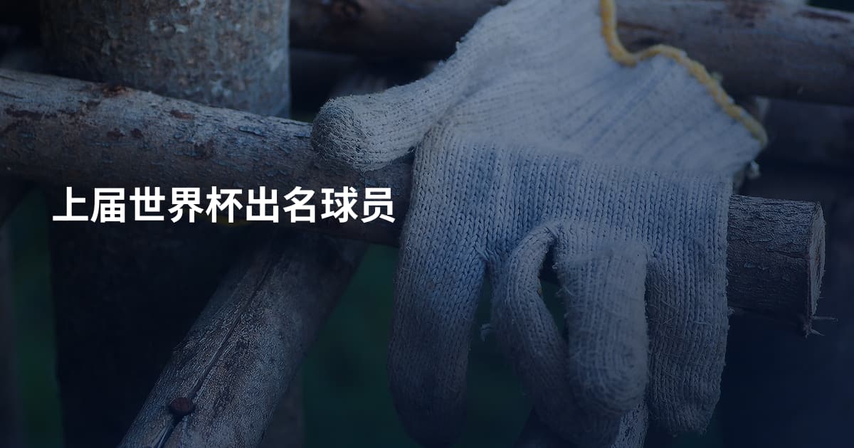 上届世界杯出名球员