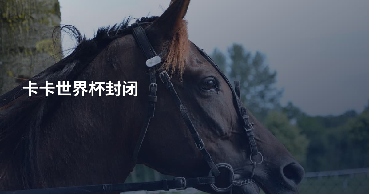 卡卡世界杯封闭