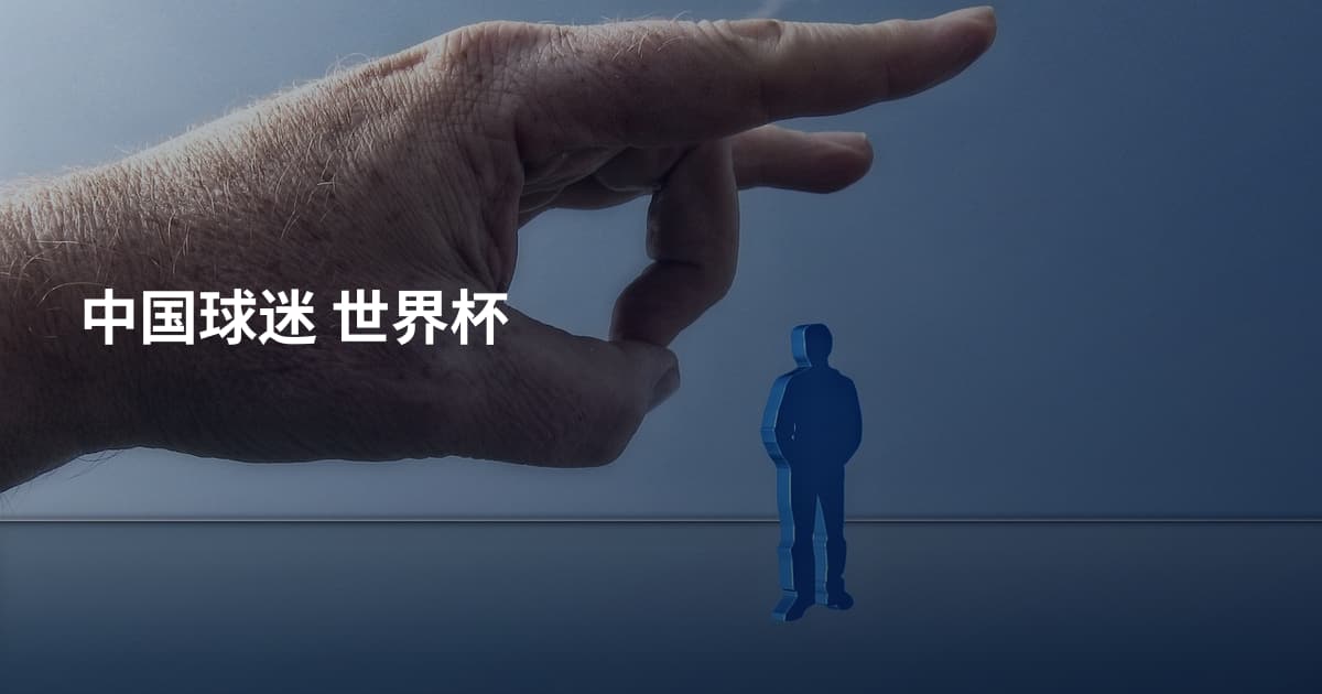 中国球迷 世界杯