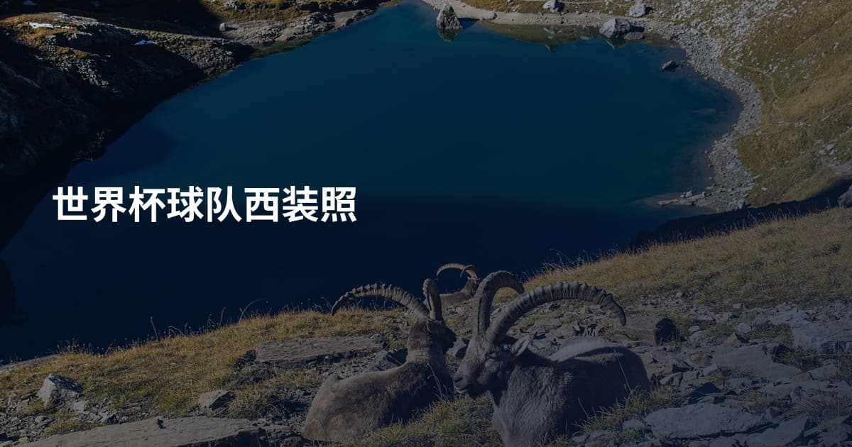 世界杯球队西装照