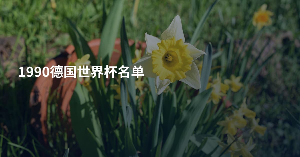 1990德国世界杯名单