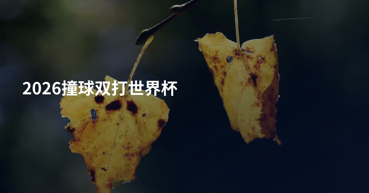2026撞球双打世界杯