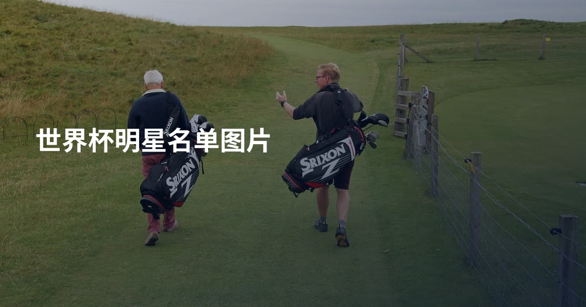 世界杯明星名单图片