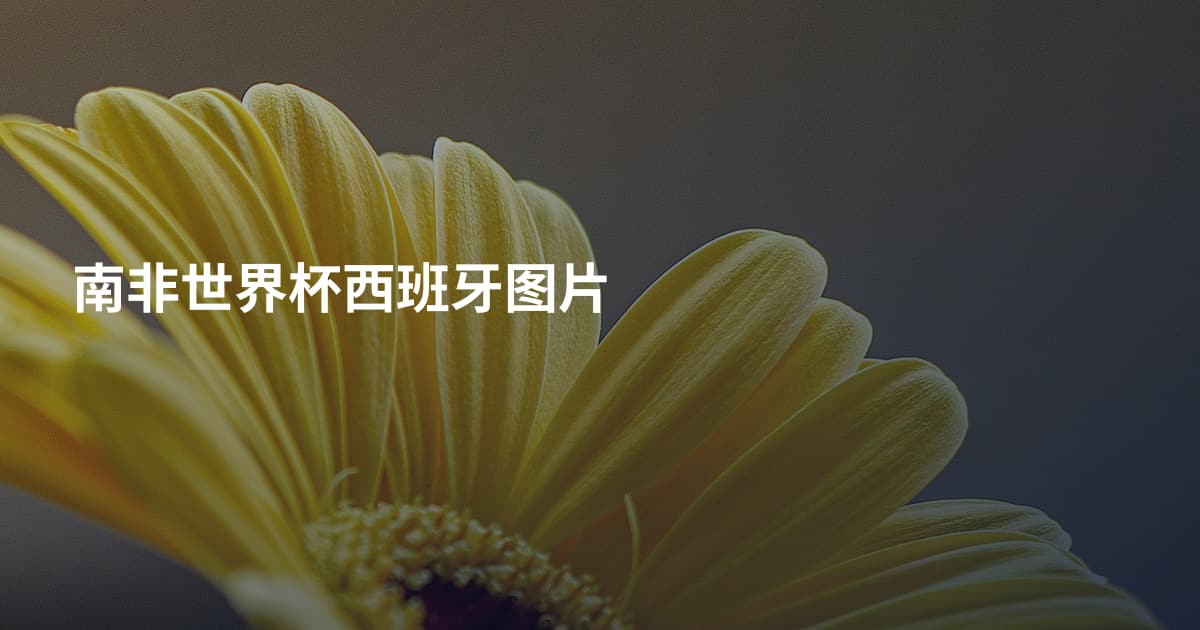 南非世界杯西班牙图片