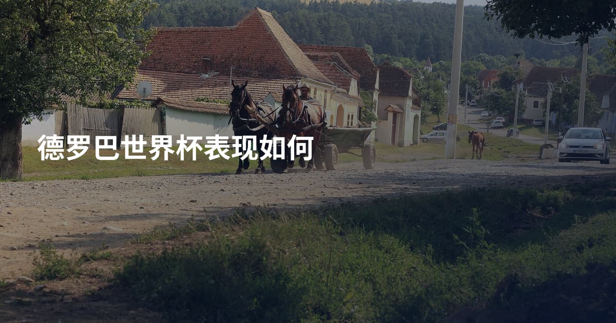 德罗巴世界杯表现如何