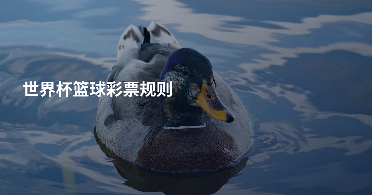世界杯篮球彩票规则