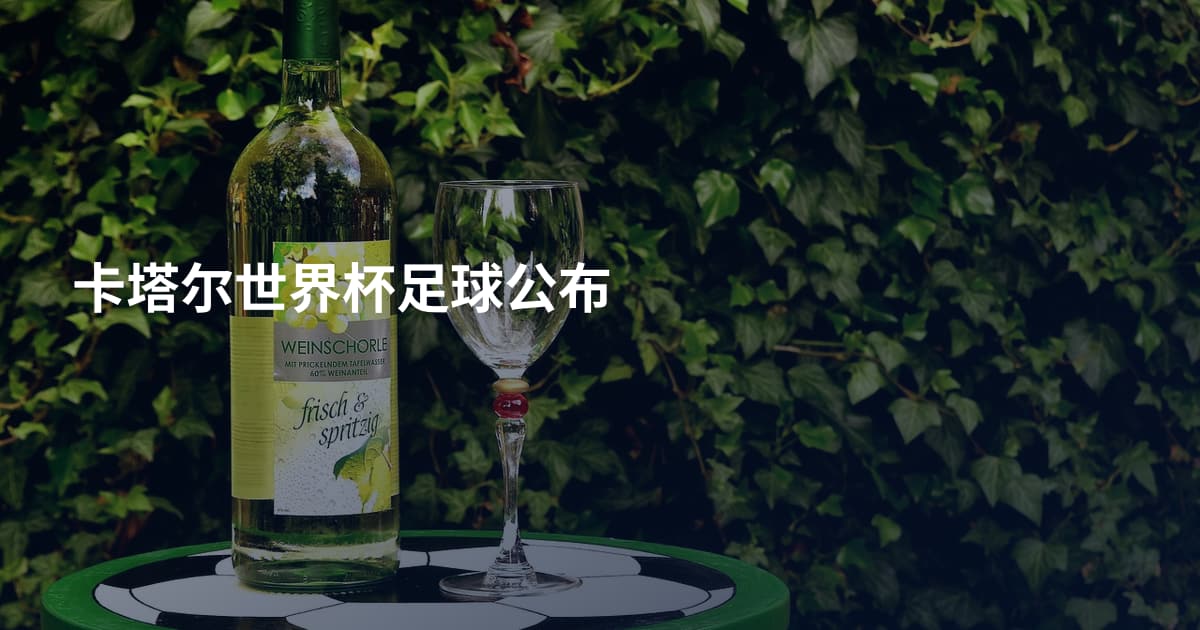 卡塔尔世界杯足球公布