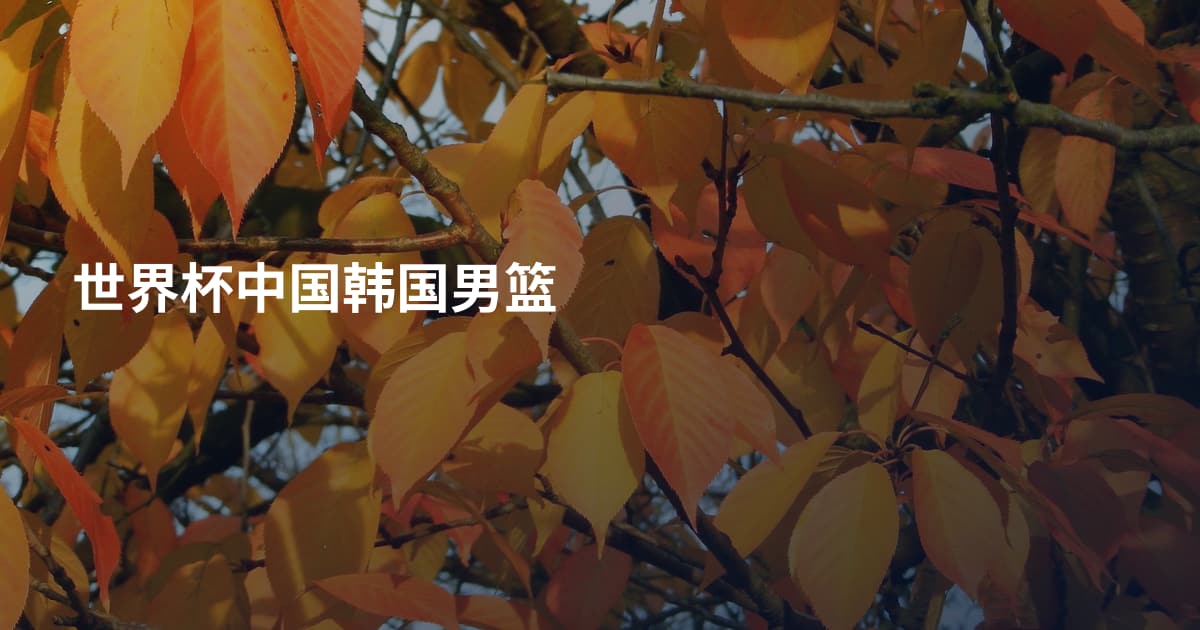世界杯中国韩国男篮