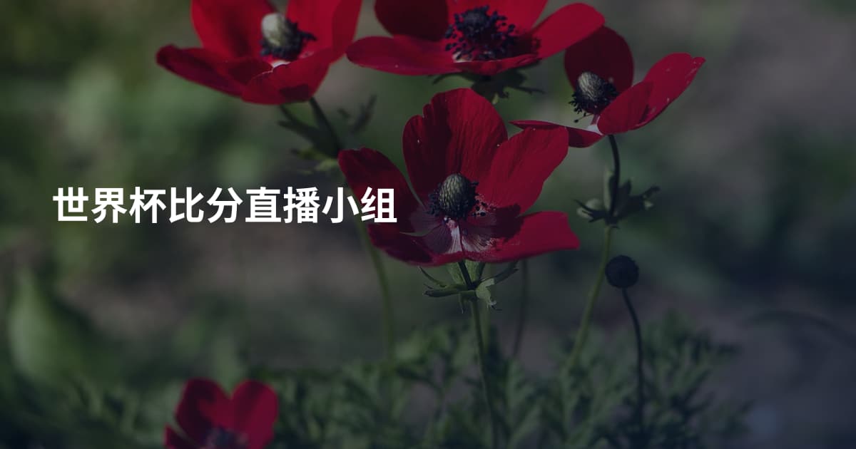 世界杯比分直播小组