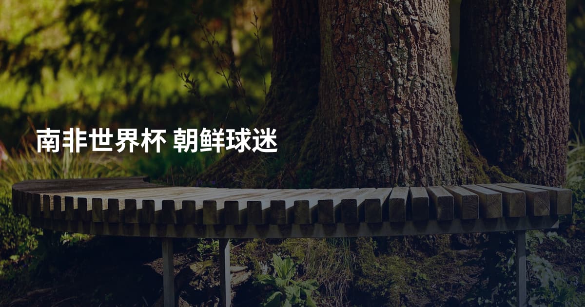 南非世界杯 朝鲜球迷