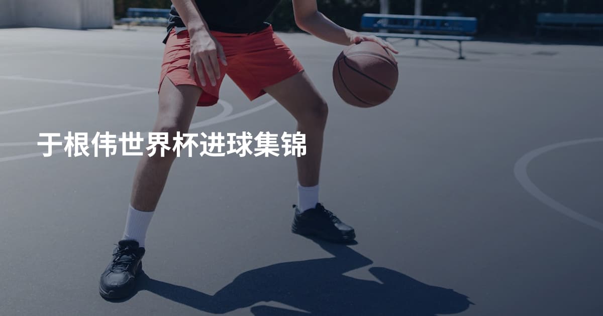 于根伟世界杯进球集锦