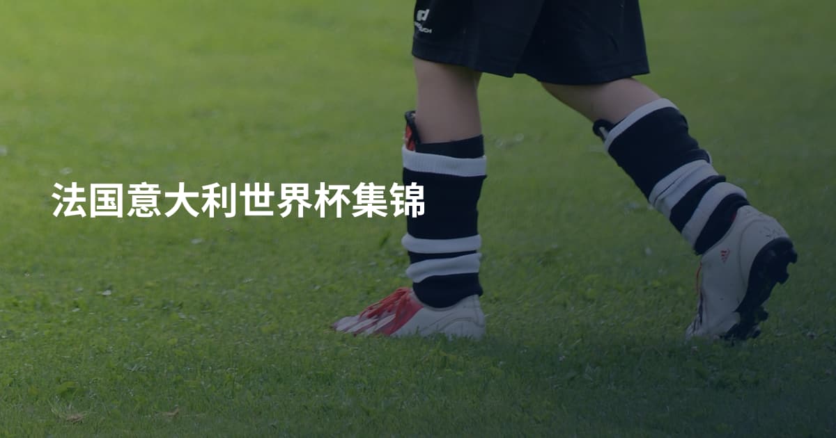 法国意大利世界杯集锦