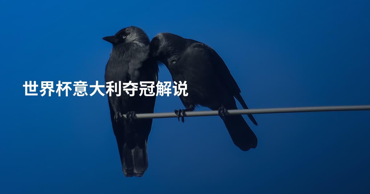 世界杯意大利夺冠解说