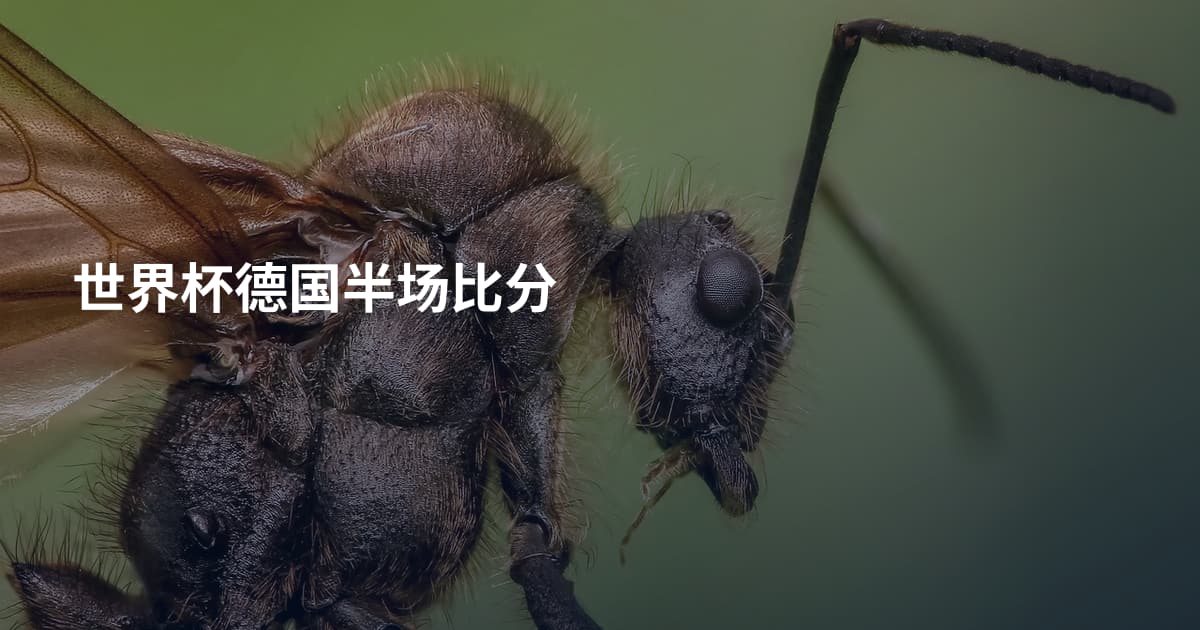 世界杯德国半场比分