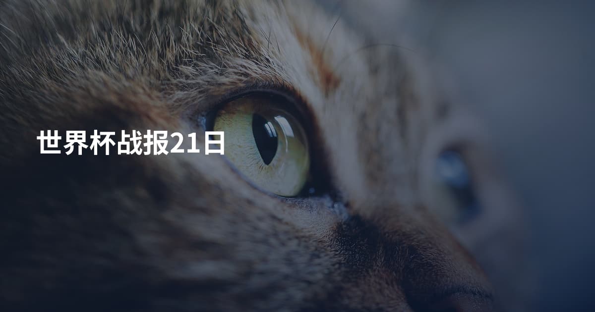 世界杯战报21日