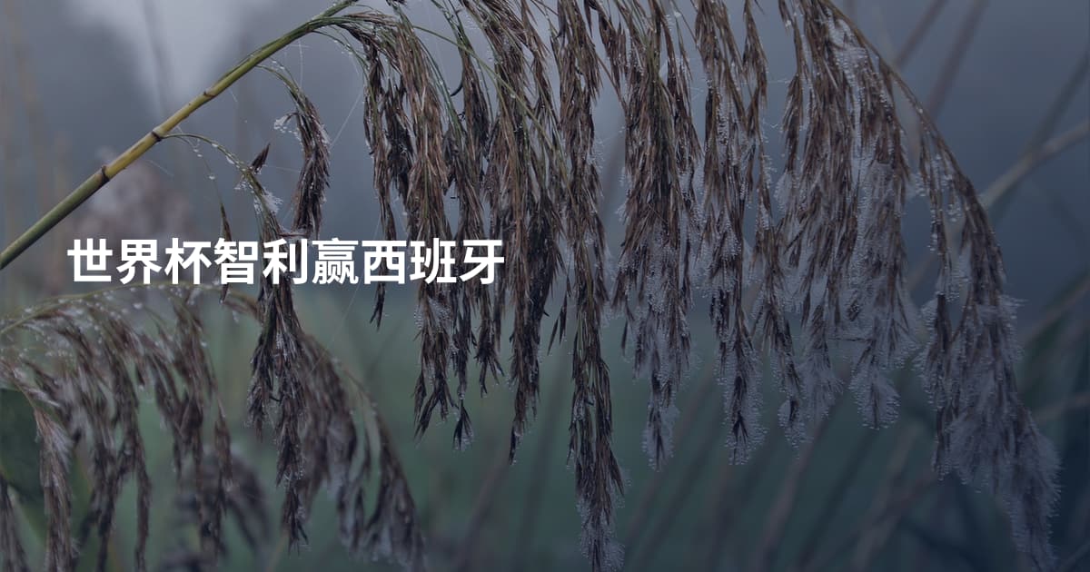 世界杯智利赢西班牙