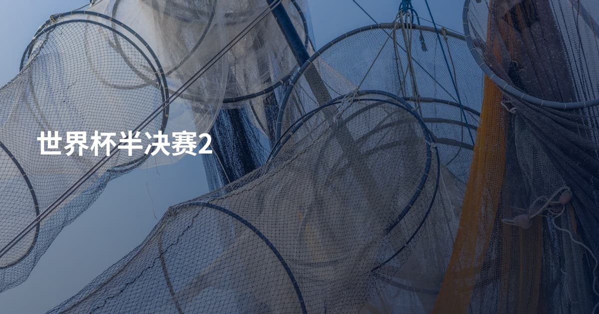 世界杯半决赛2
