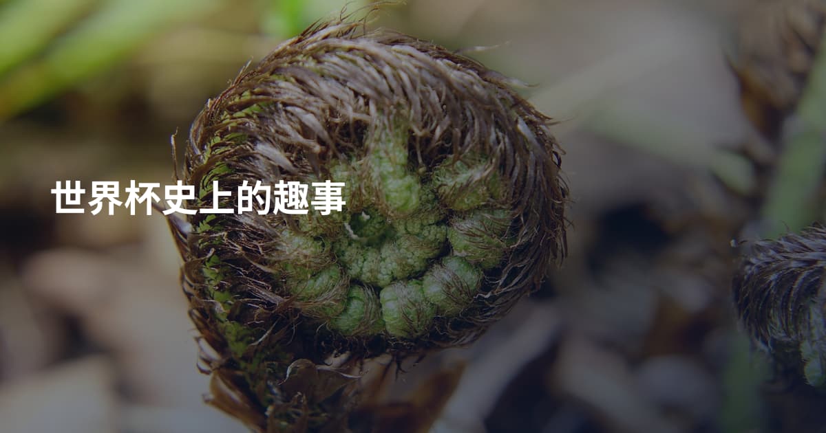 世界杯史上的趣事