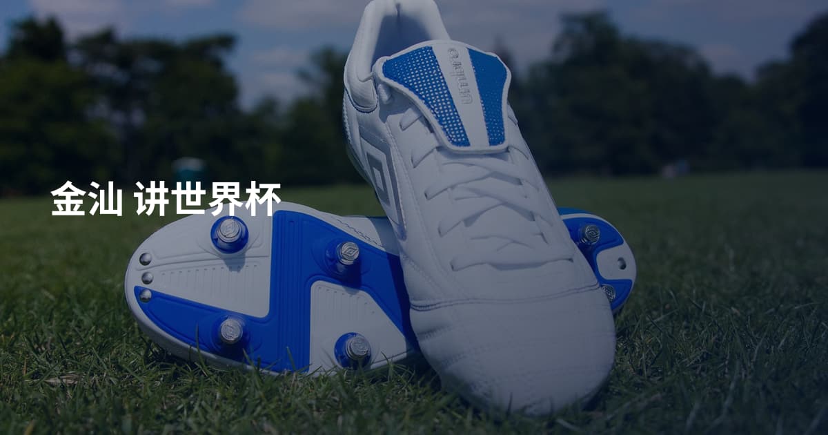 金汕 讲世界杯