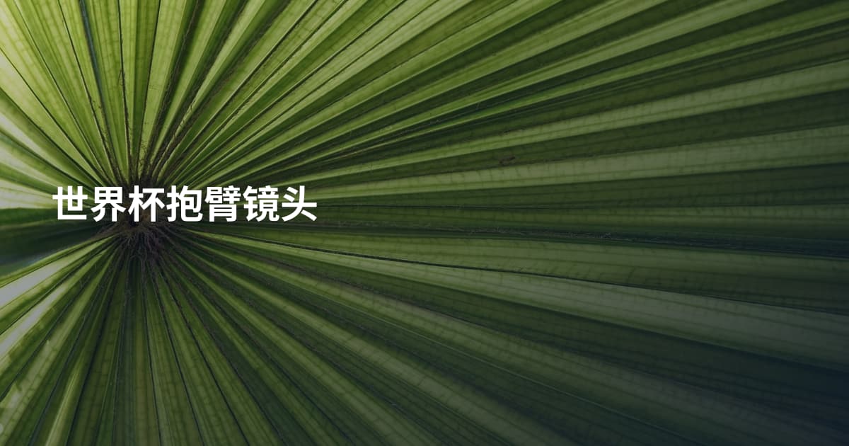 世界杯抱臂镜头