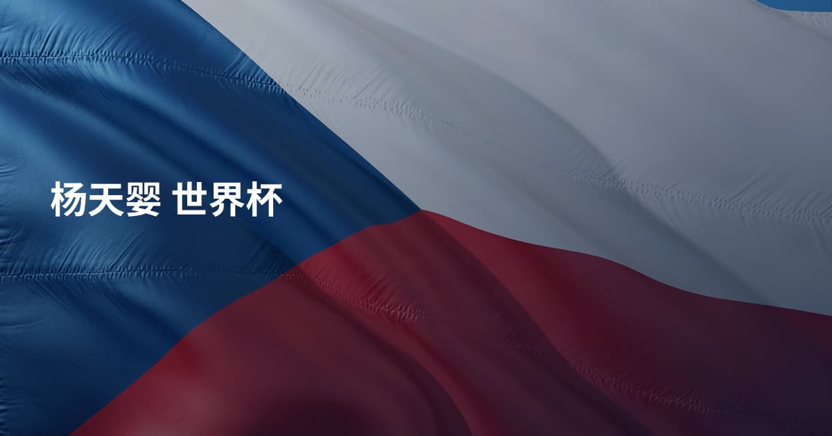 杨天婴 世界杯