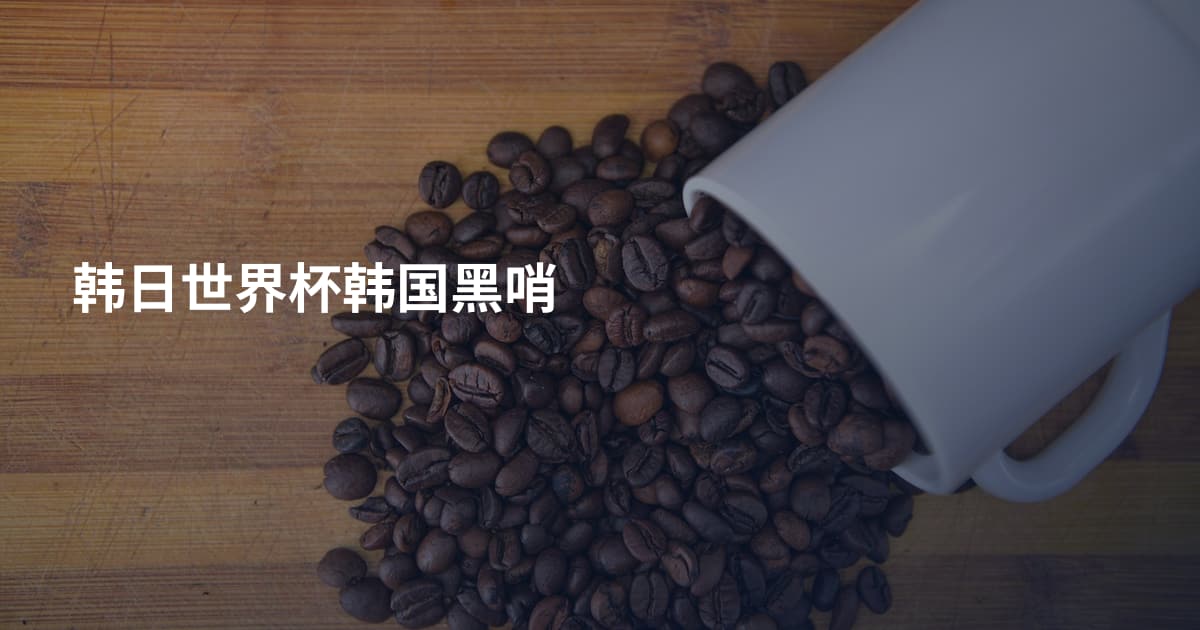 韩日世界杯韩国黑哨