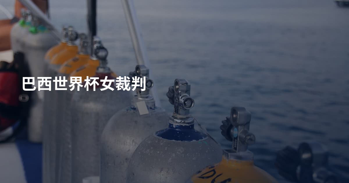 巴西世界杯女裁判