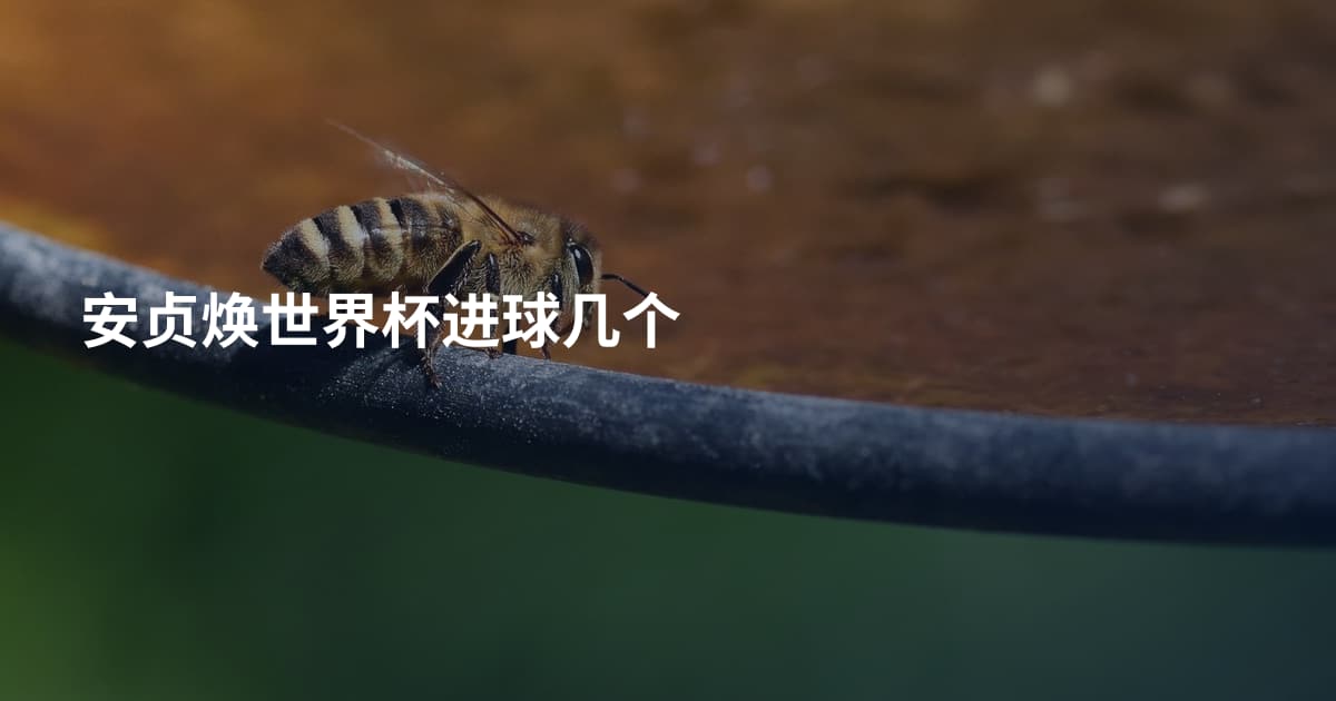 安贞焕世界杯进球几个