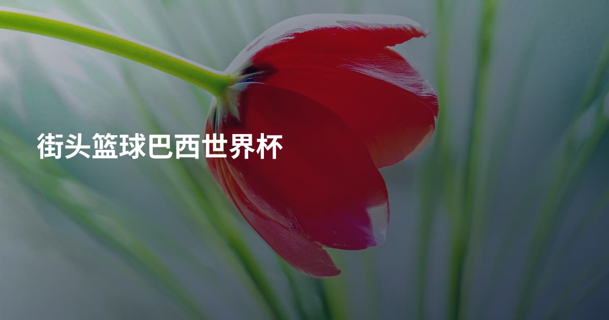 街头篮球巴西世界杯