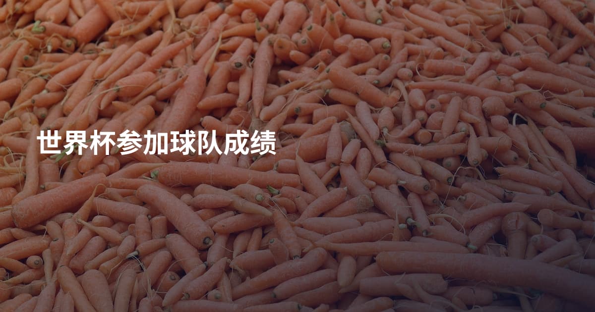 世界杯参加球队成绩