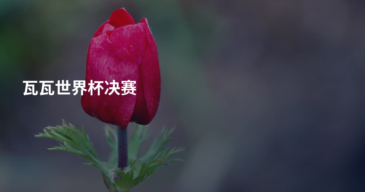 瓦瓦世界杯决赛