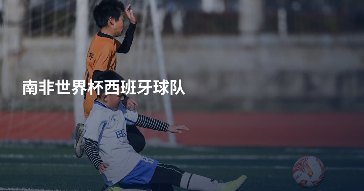 南非世界杯西班牙球队